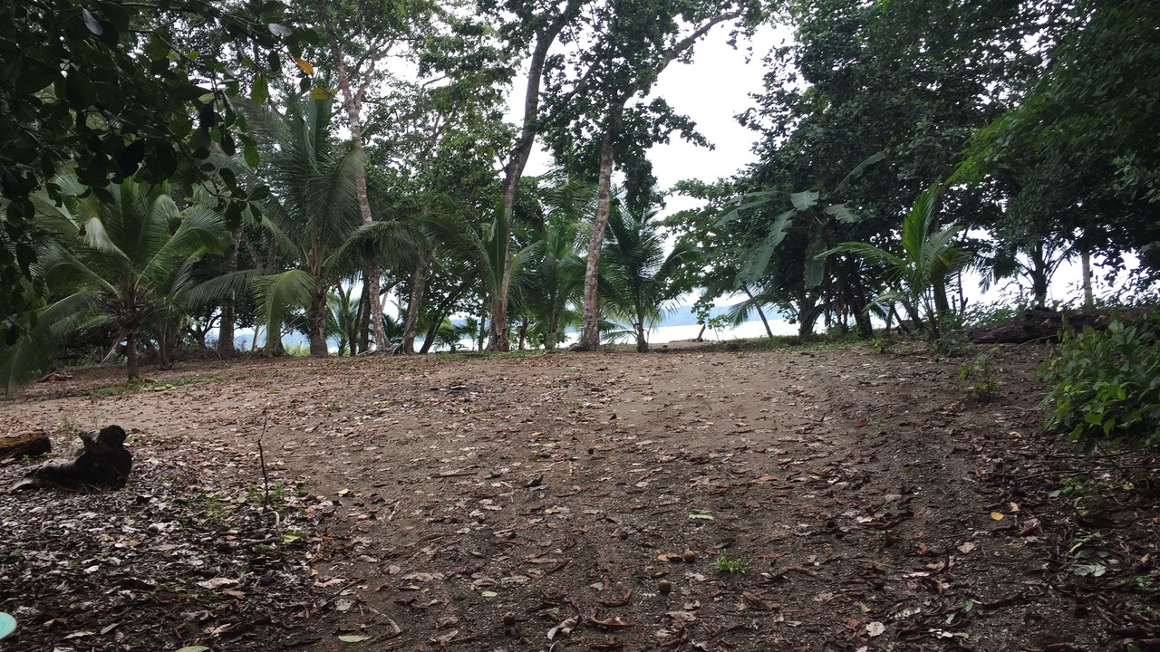 Photo of Outdoor in Drake Bay