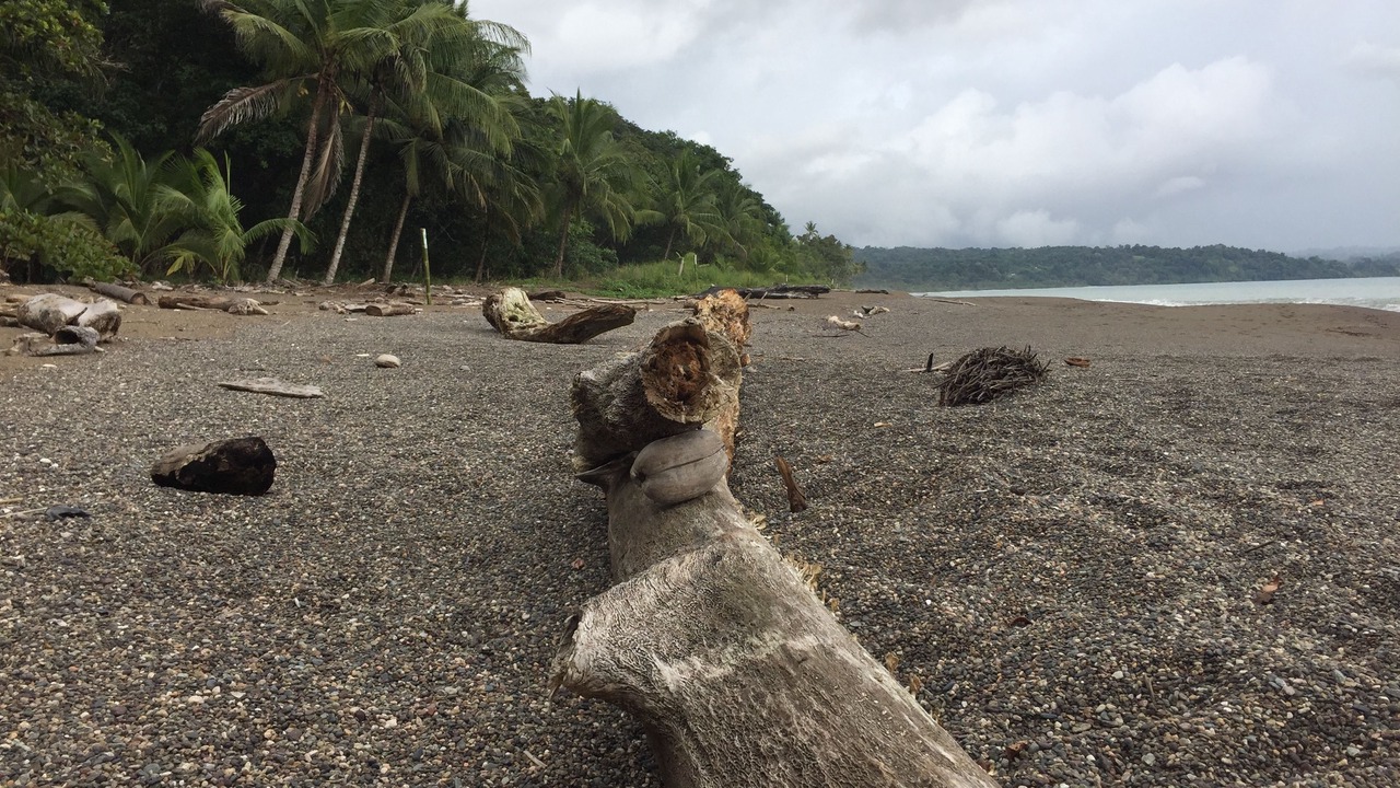 Photo of Outdoor in Drake Bay