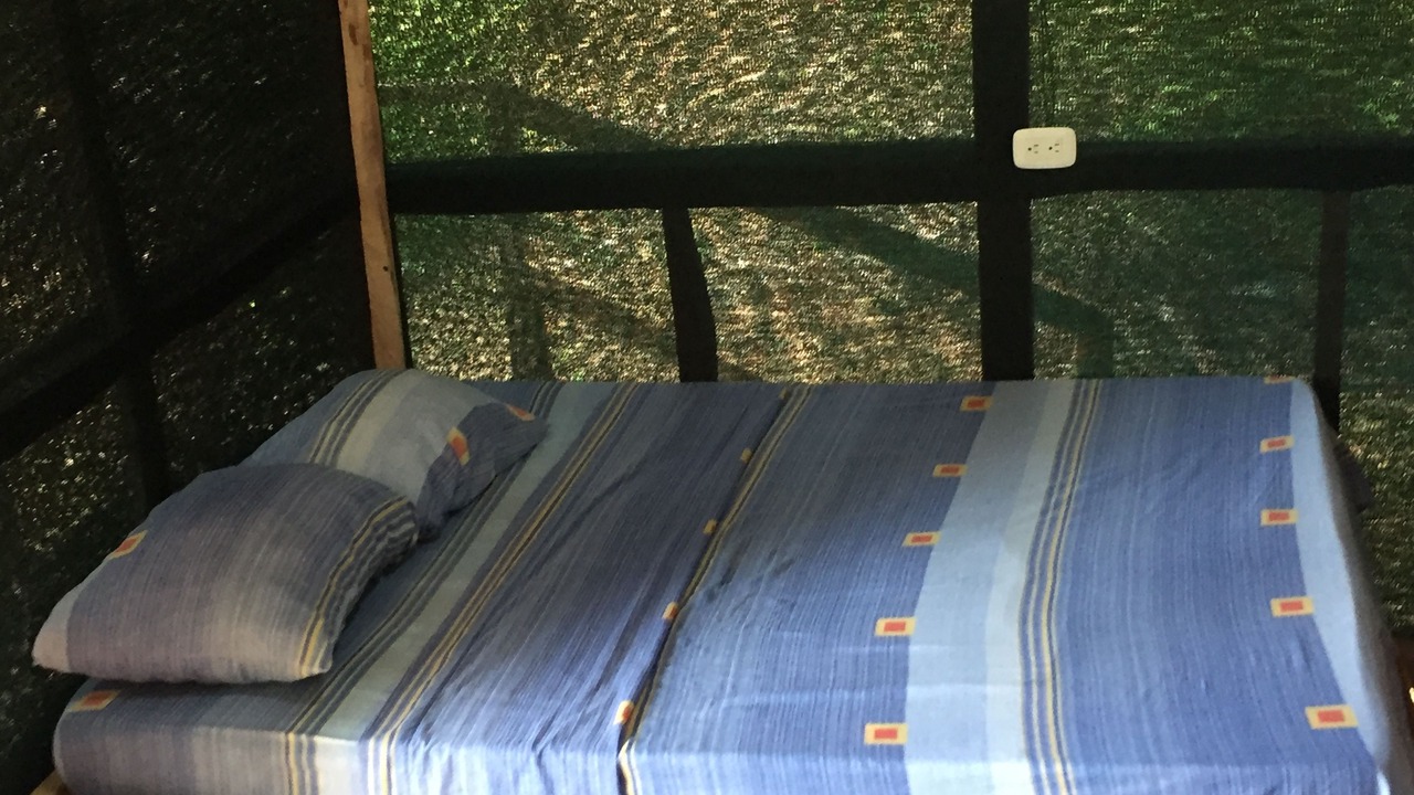 Photo of Bedroom in Drake Bay