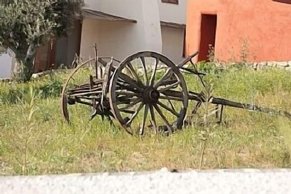 Photo of Outdoor in Santiago Maior