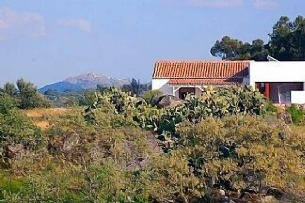 Photo of Outdoor in Santiago Maior