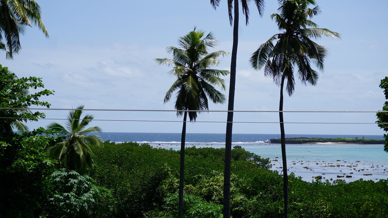 Photo of Others in Savusavu