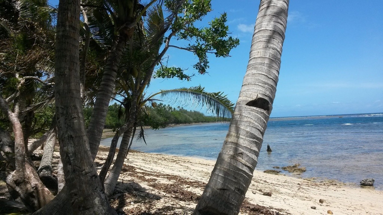 Photo of Others in Savusavu