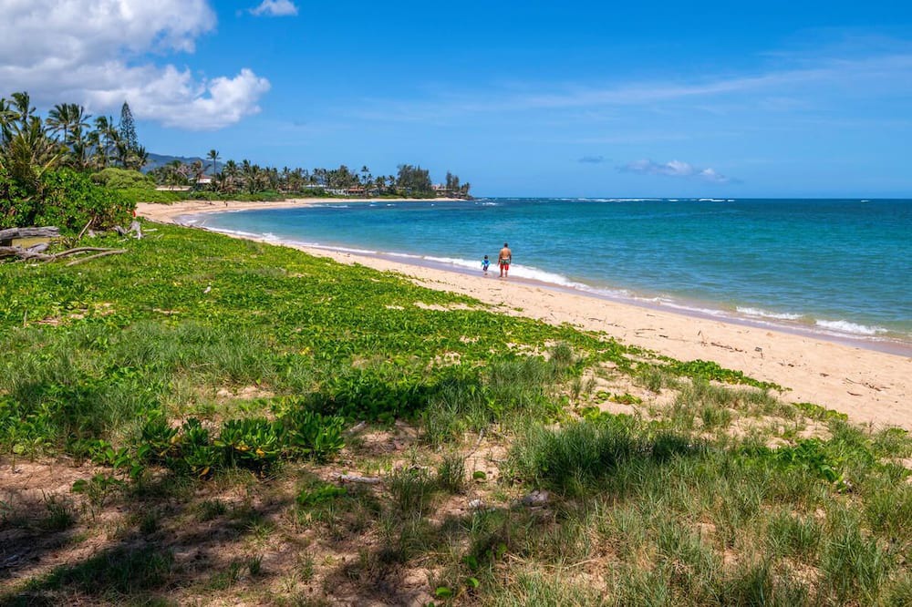 Photo of Others in Waialua