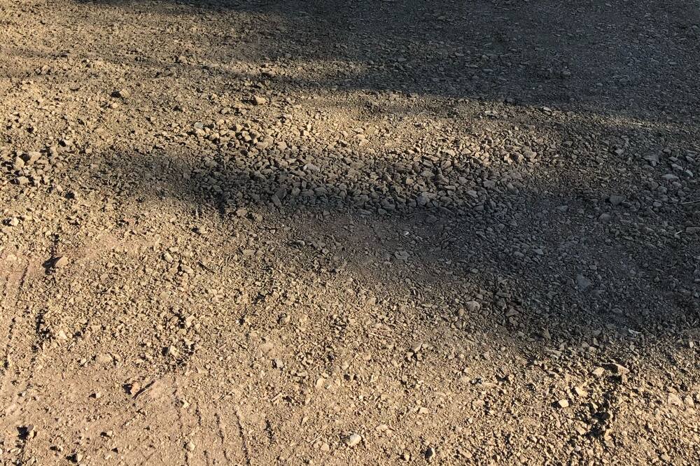 Photo of Others in Santa Ynez