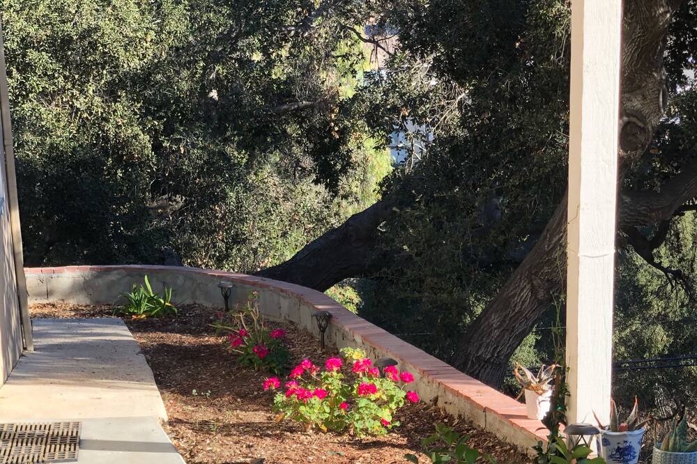 Photo of Outdoor in Santa Ynez