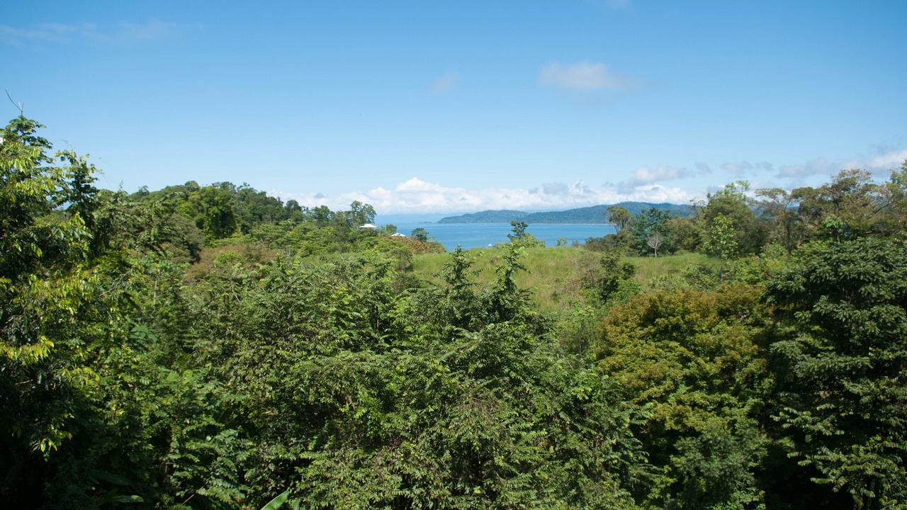 Photo of Outdoor in Drake Bay