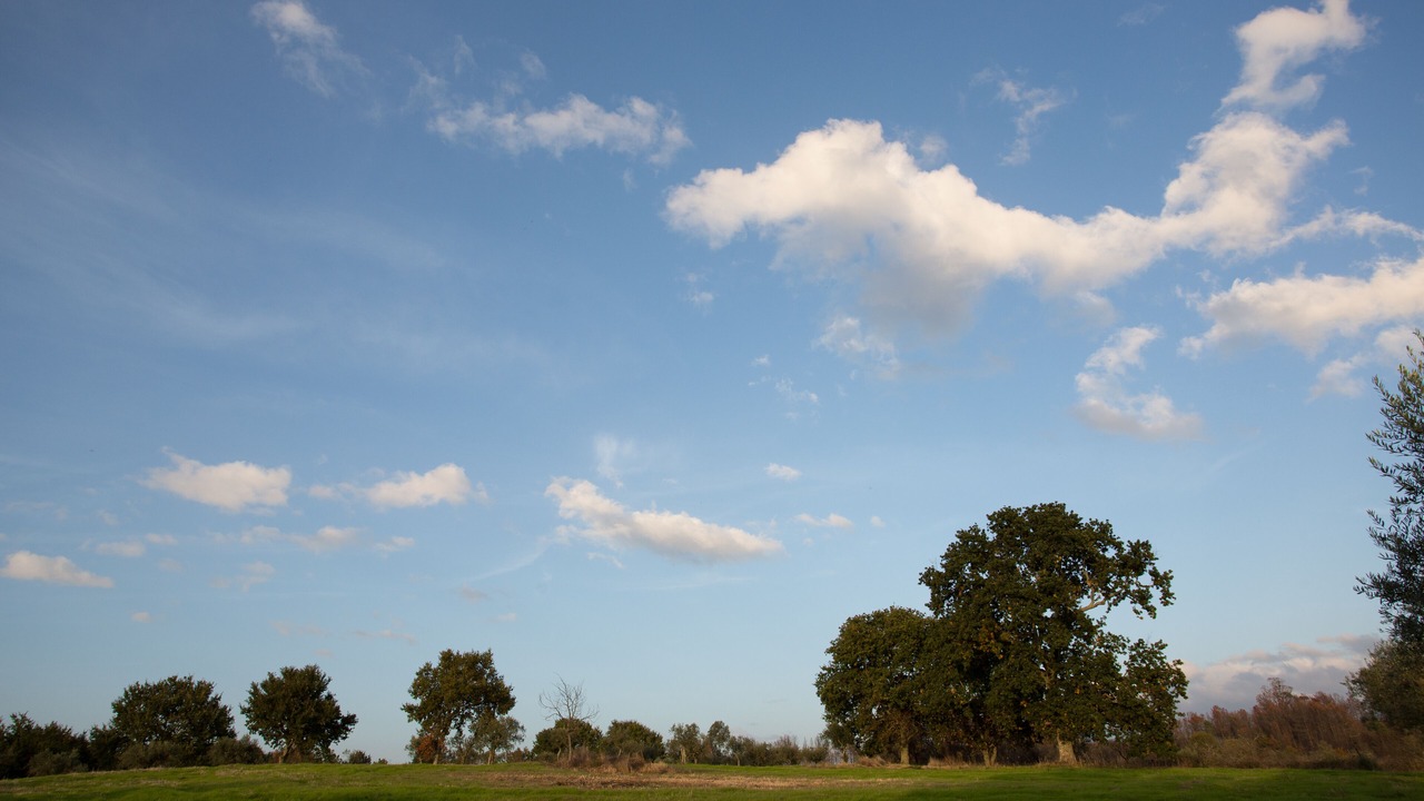 Photo of Outdoor in Travancinha