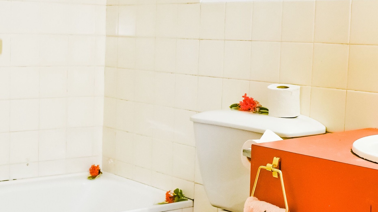 Photo of Bathroom in Lautoka