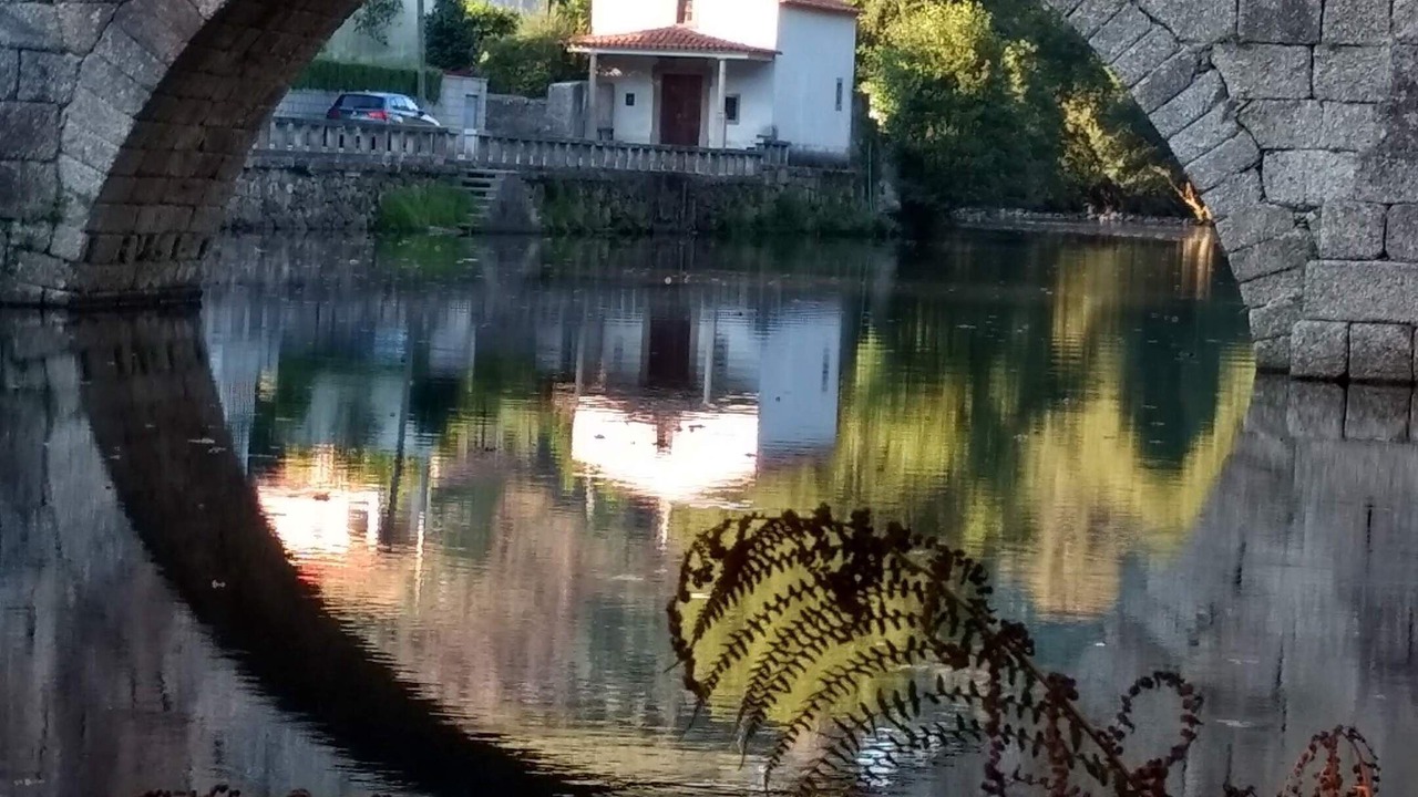 Photo of Buildings in Seia