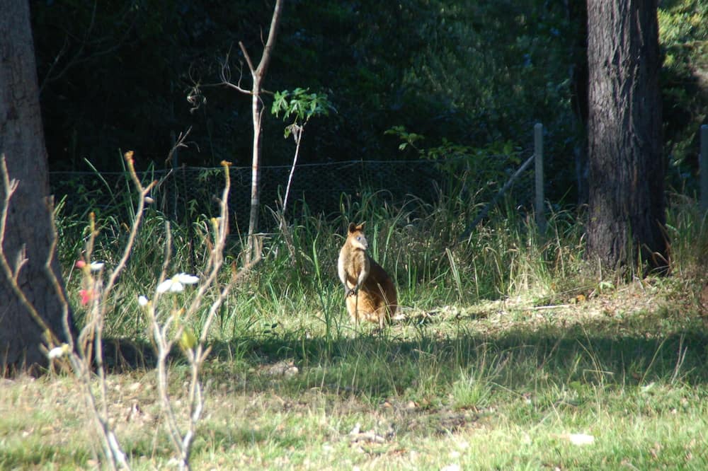 Photo of Outdoor in Nerang