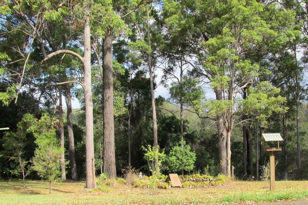 Photo of Others in Nerang