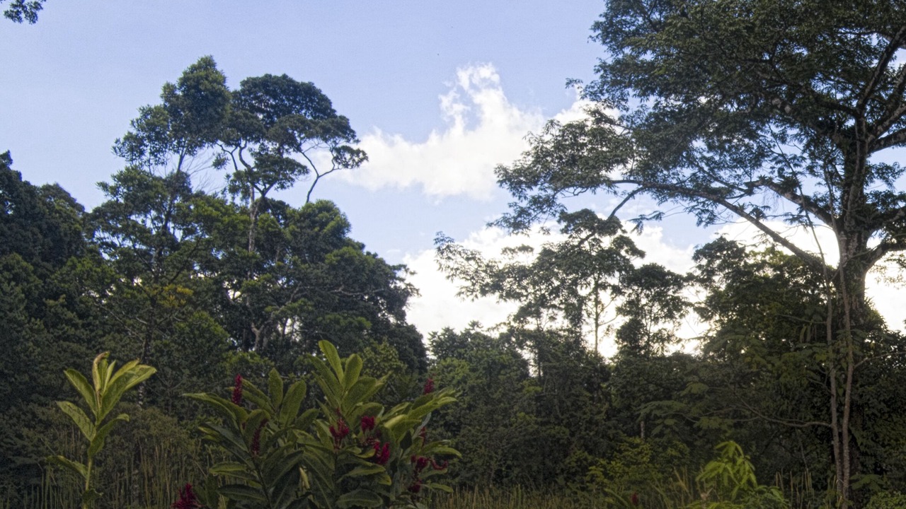 Photo of Outdoor in Guayabo