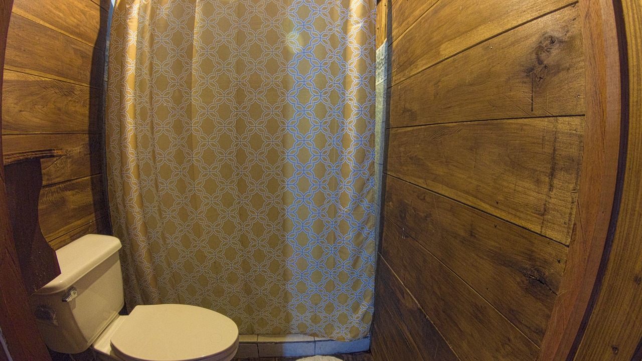 Photo of Bathroom in Guayabo