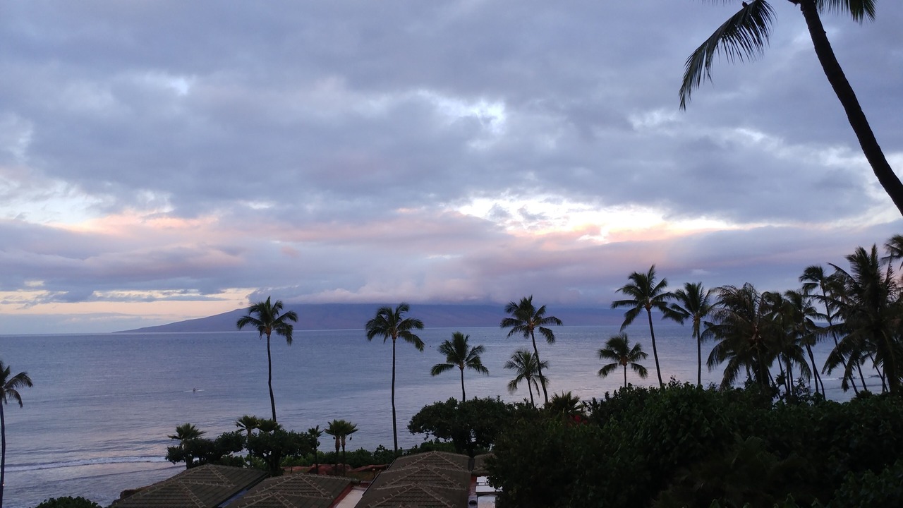 Photo of Others in Kaanapali