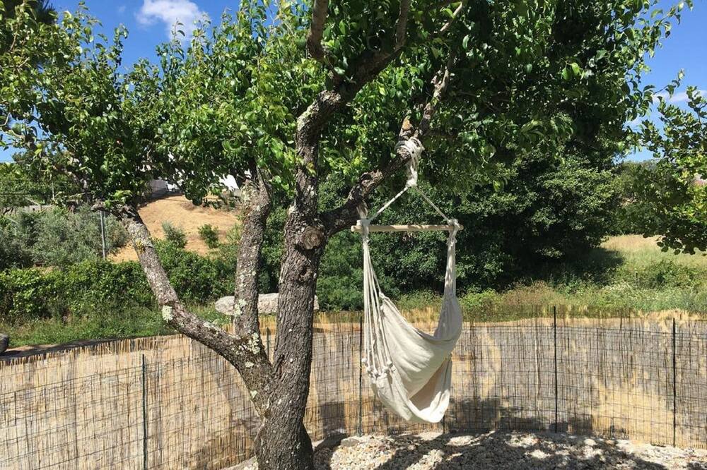 Photo of Outdoor in Seia