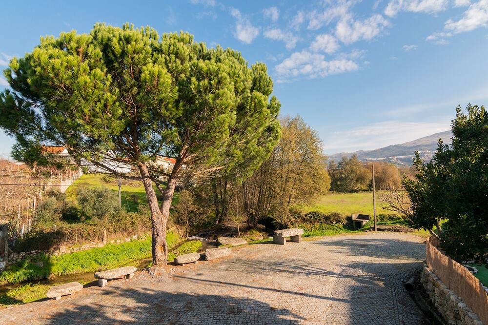 Photo of Outdoor in Seia