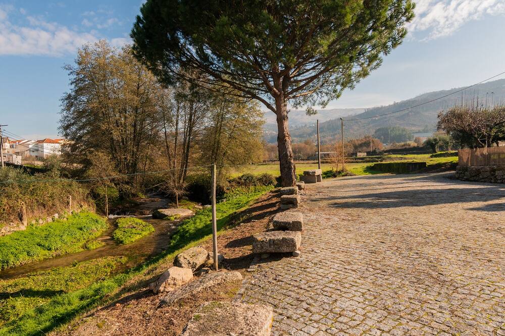 Photo of Outdoor in Seia