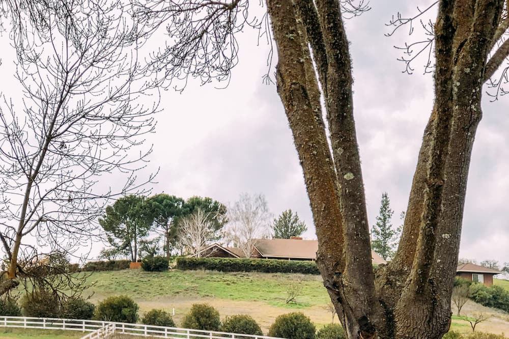 Photo of Outdoor in Templeton