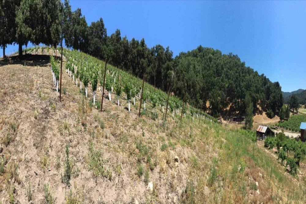Photo of Others in Paso Robles