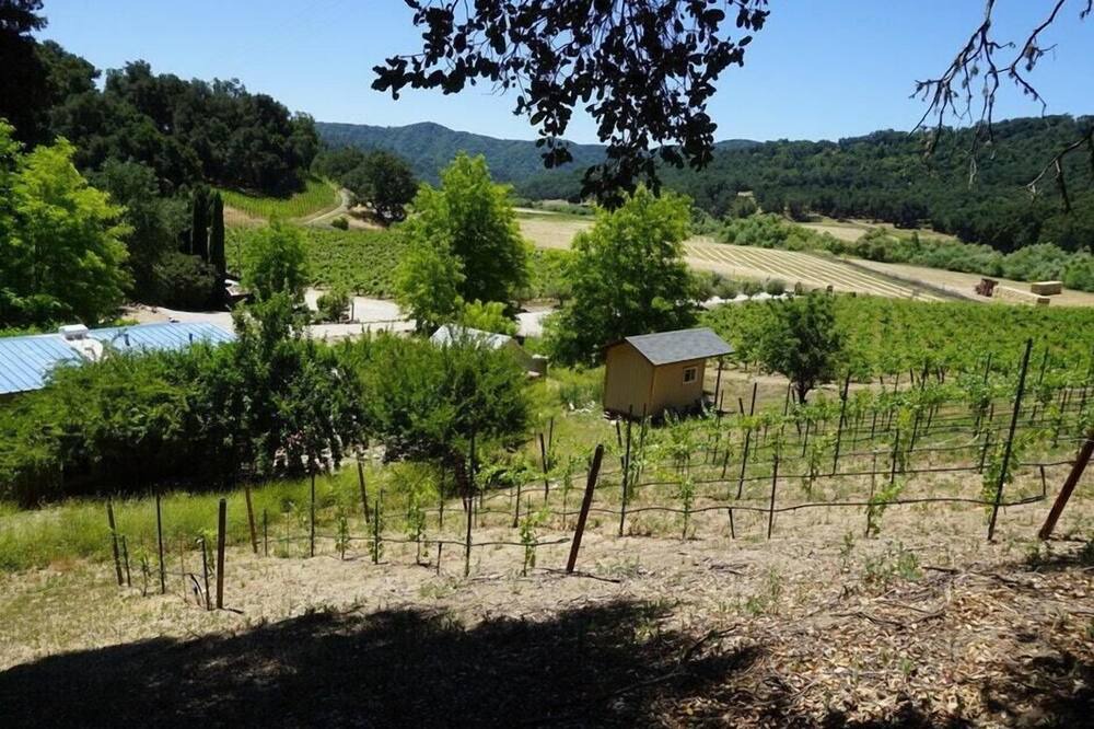 Photo of Others in Paso Robles