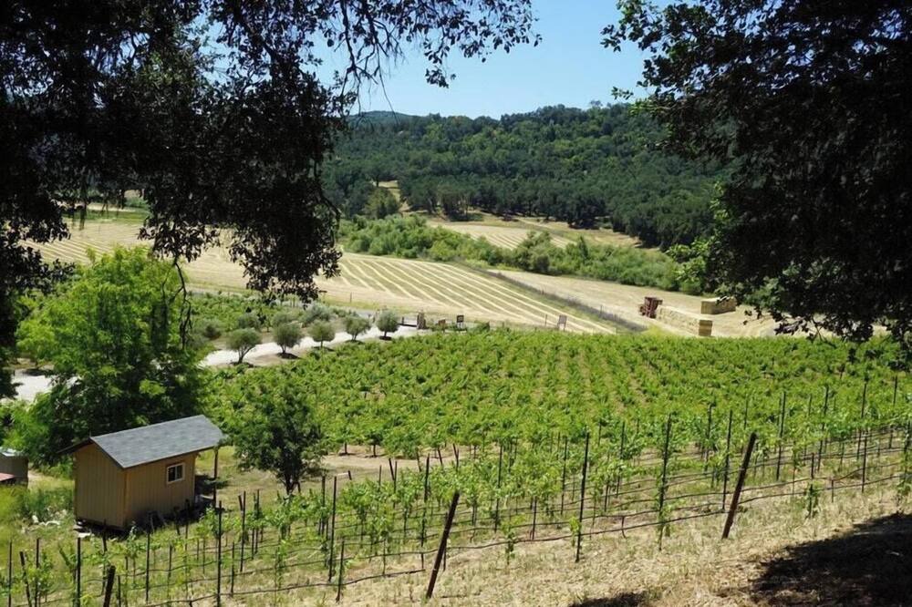 Photo of Others in Paso Robles