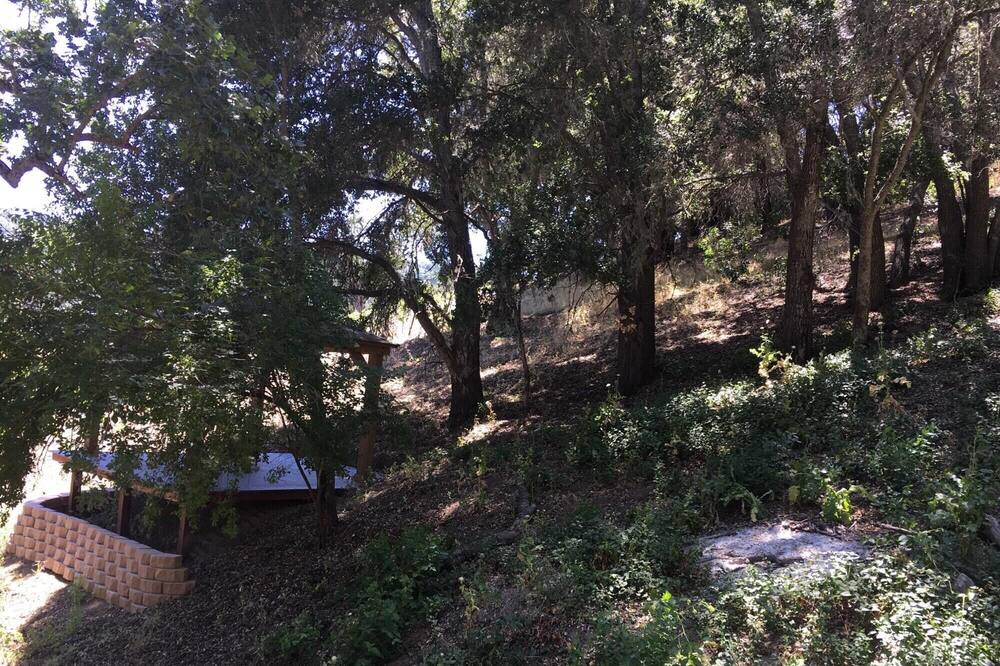 Photo of Others in Paso Robles