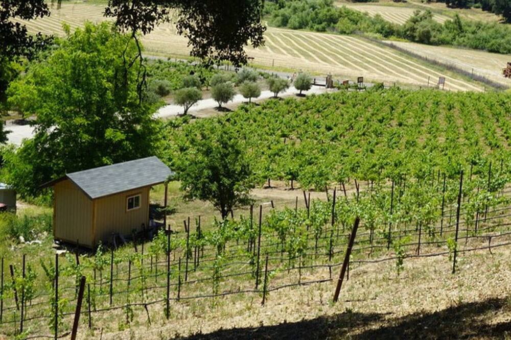 Photo of Outdoor in Paso Robles