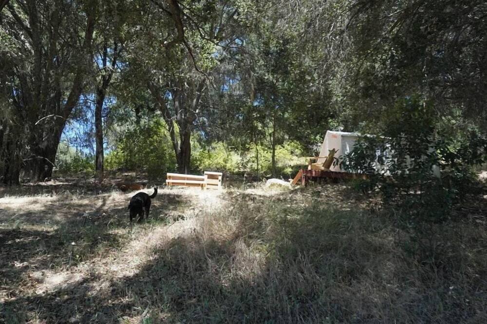 Photo of Others in Paso Robles