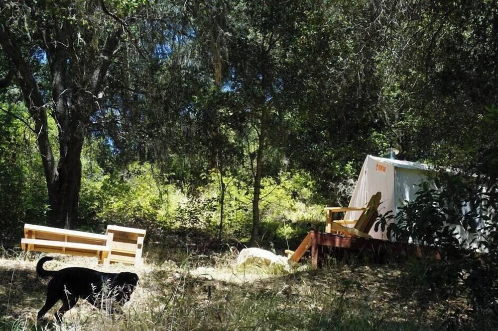 Photo of Others in Paso Robles