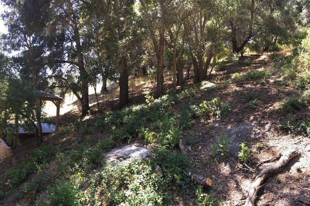 Photo of Others in Paso Robles