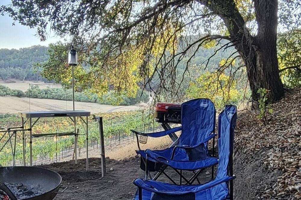 Photo of Others in Paso Robles