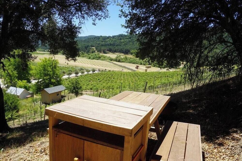 Photo of Others in Paso Robles