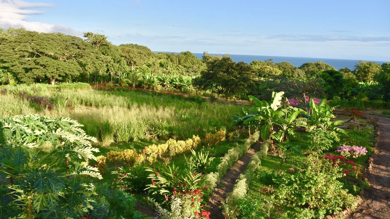 Photo of Outdoor in Balgue