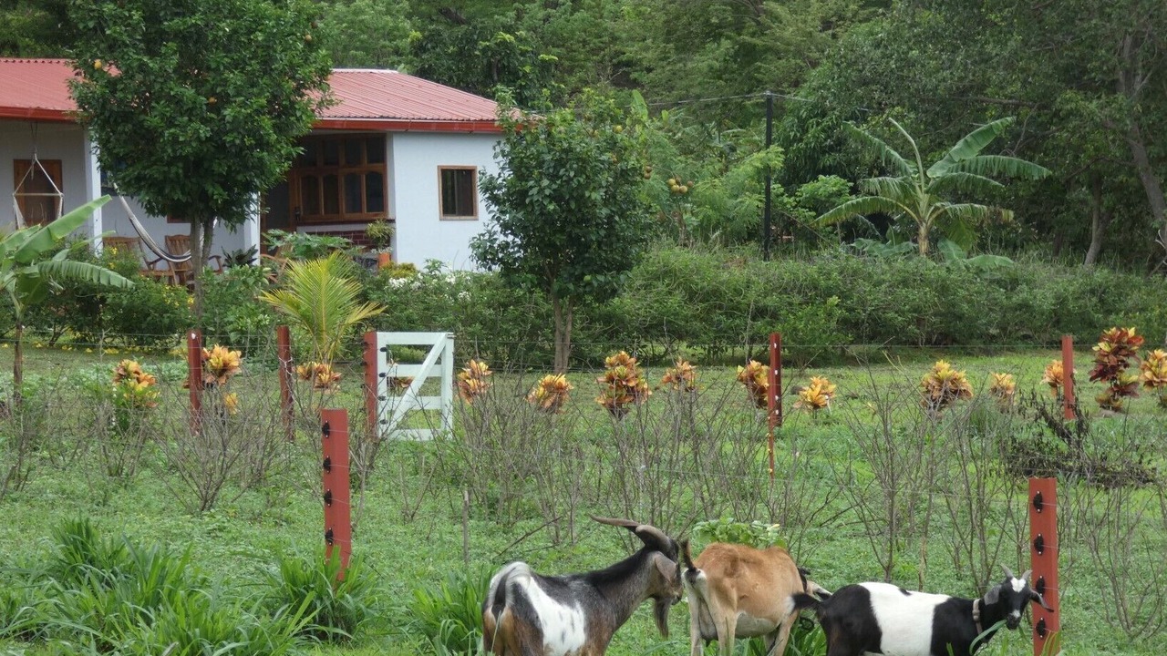 Photo of Outdoor in Balgue
