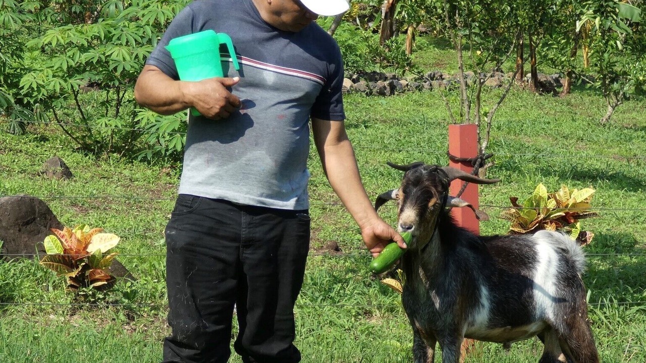 Photo of Outdoor in Balgue
