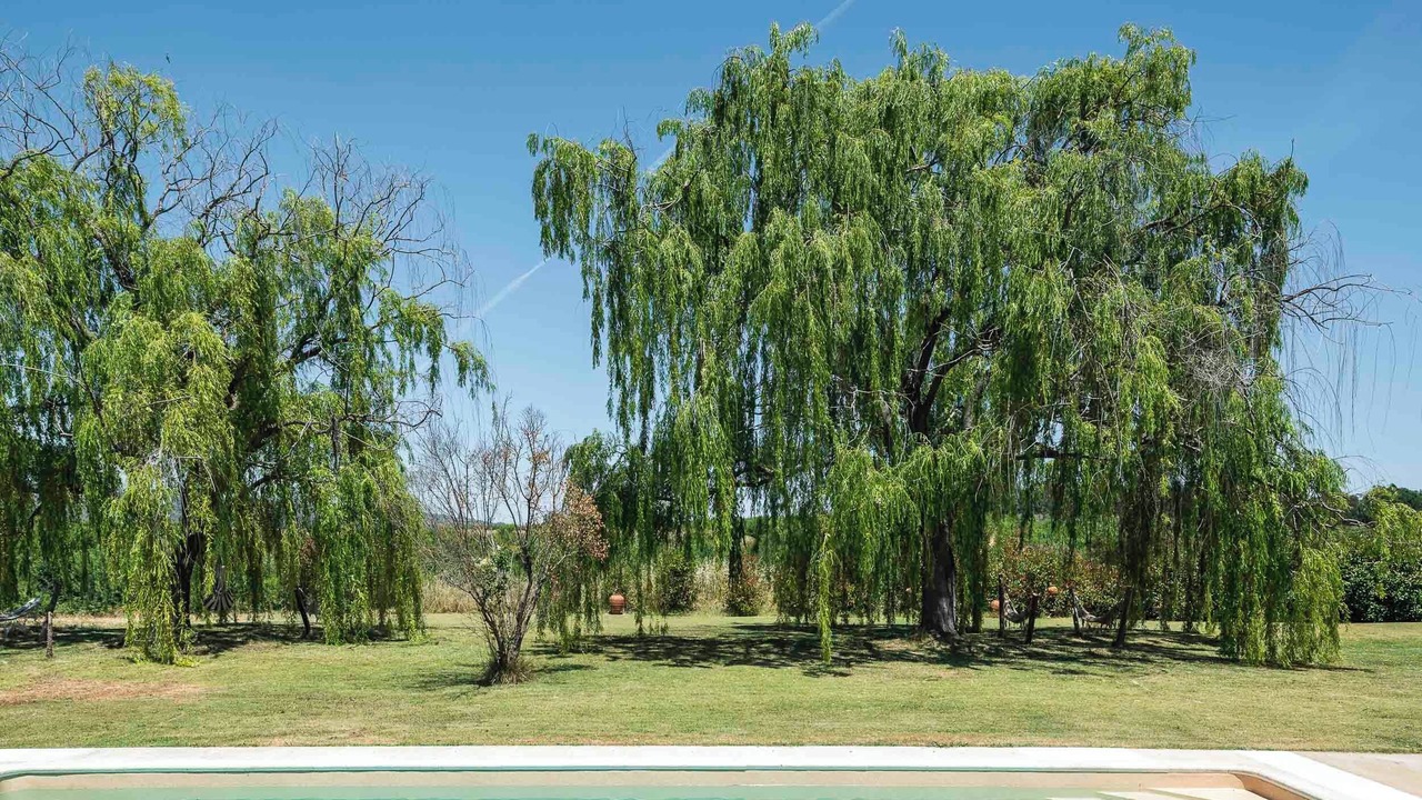 Photo of Outdoor in Idanha-a-Nova
