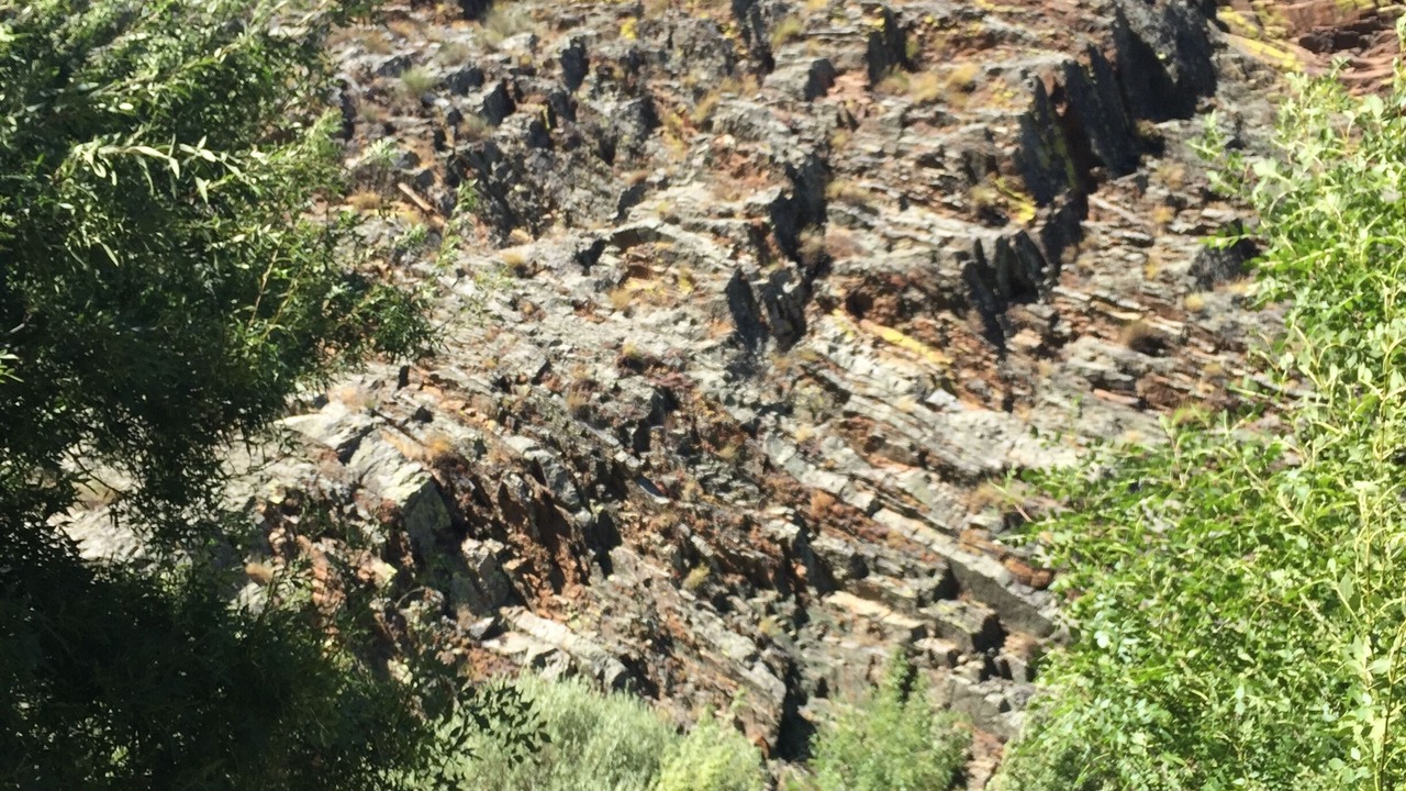 Photo of Others in Idanha-a-Nova