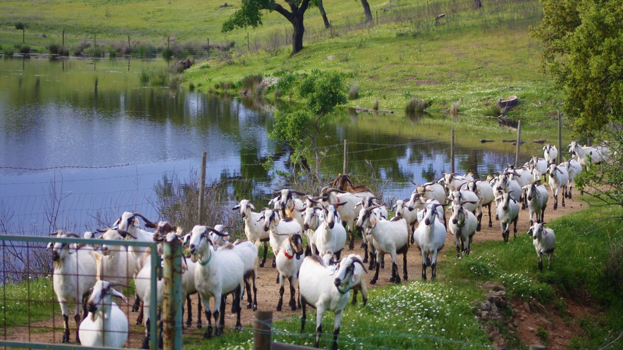 Photo of Outdoor in Portel