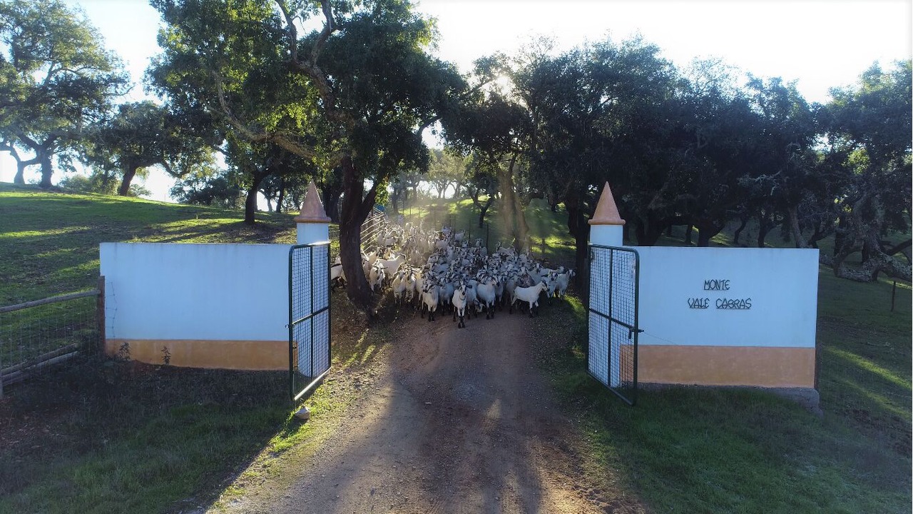 Photo of Outdoor in Portel