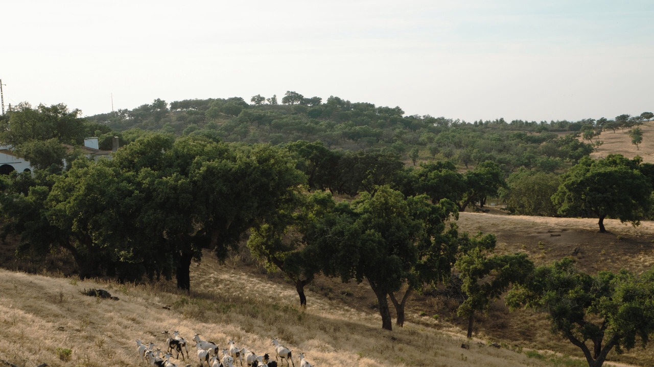 Photo of Outdoor in Portel