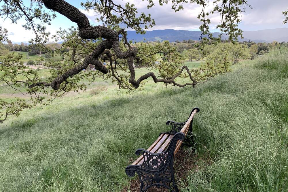 Photo of Outdoor in Santa Ynez