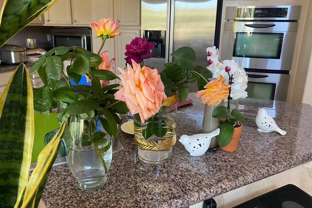 Photo of Kitchen in Summerlin West
