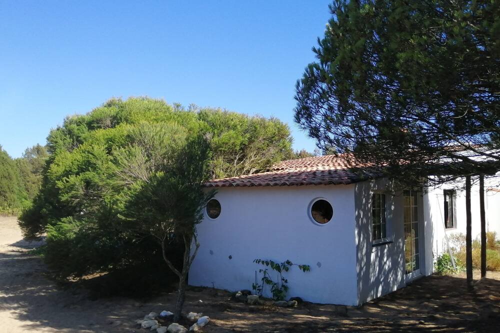Photo of Outdoor in Odemira