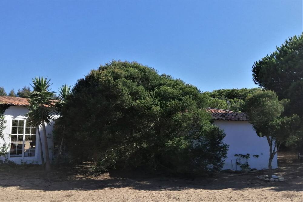 Photo of Outdoor in Odemira