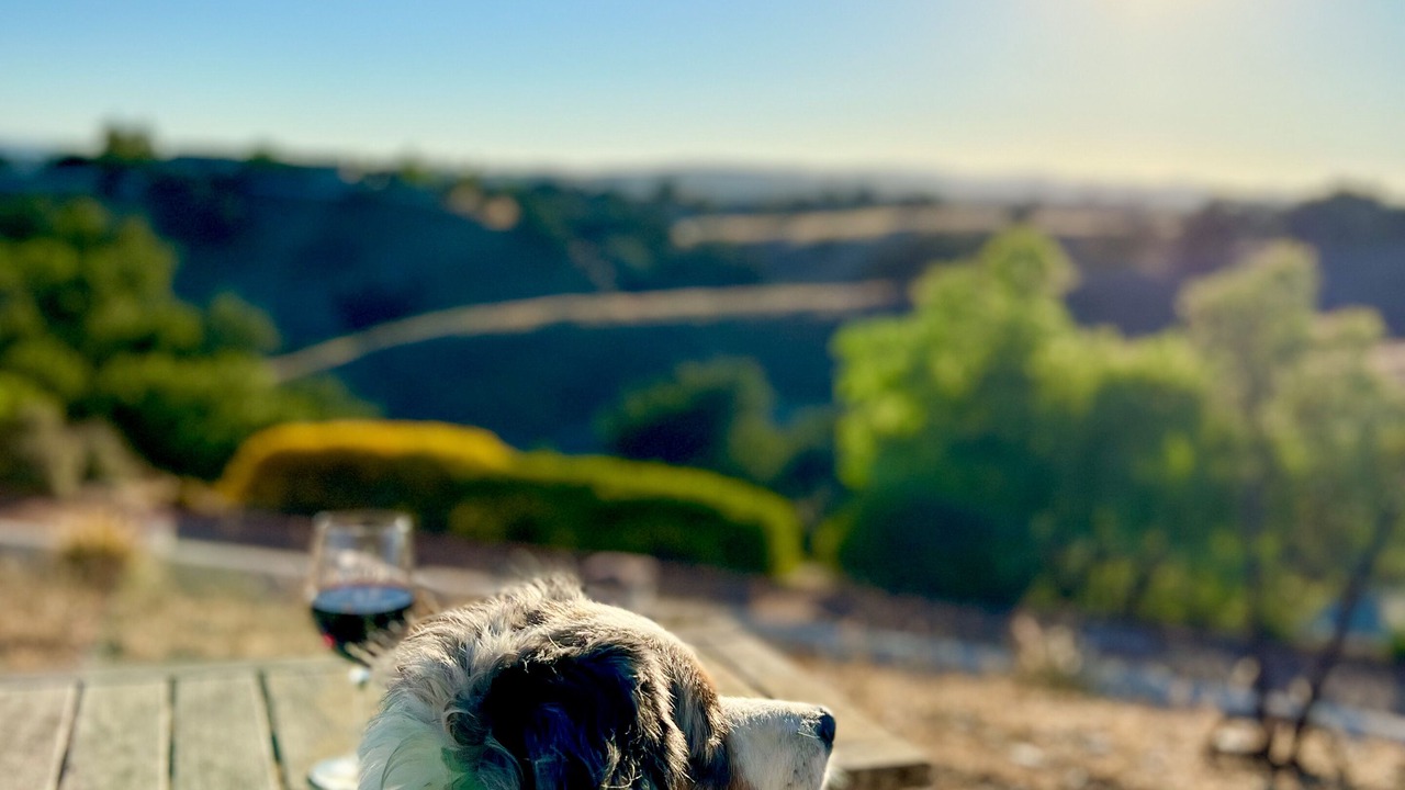 Photo of Others in Santa Ynez