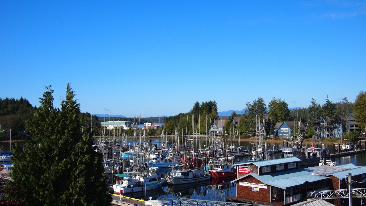 Photo of Others in Ucluelet