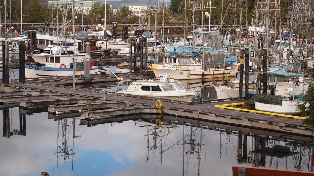 Photo of Others in Ucluelet