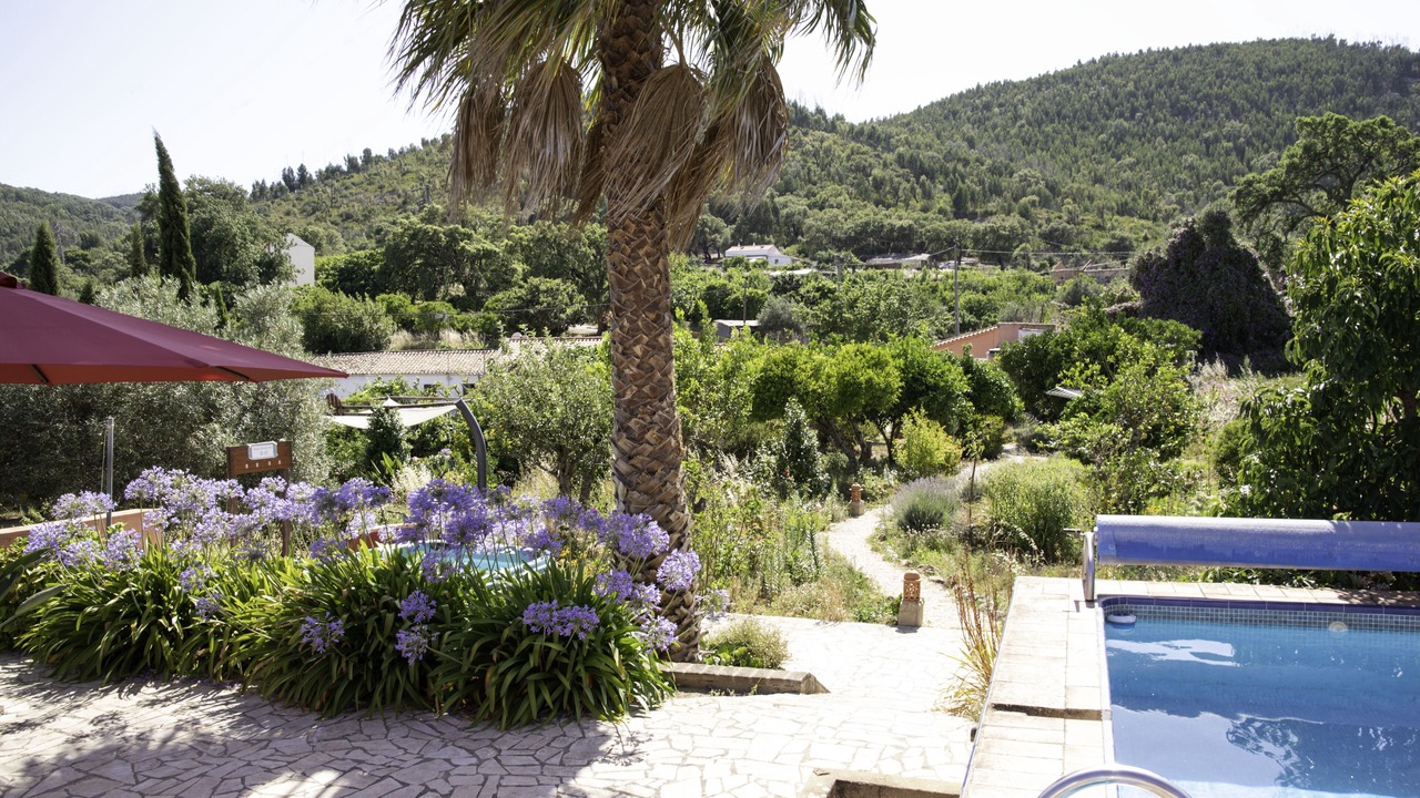 Photo of Outdoor in Alferce