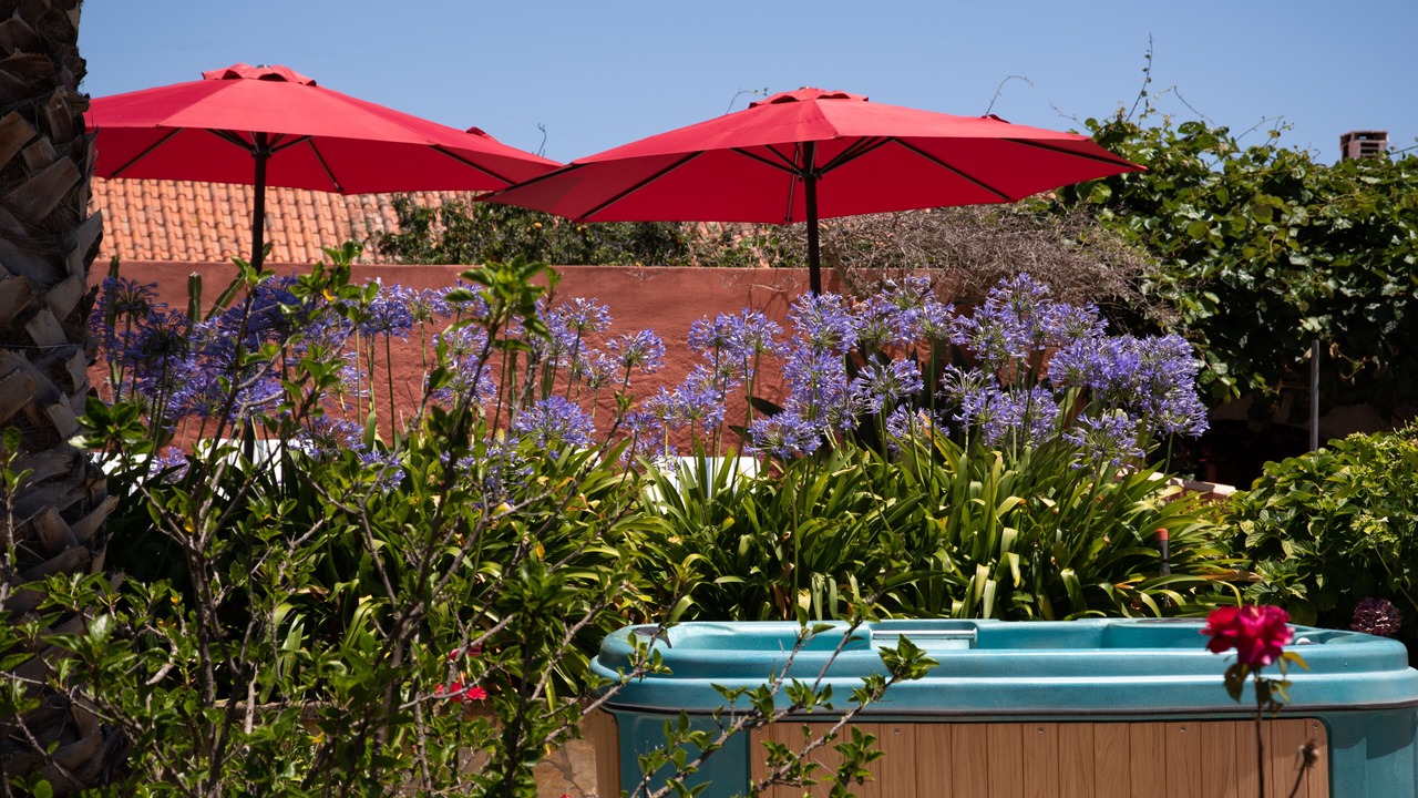 Photo of Outdoor in Alferce